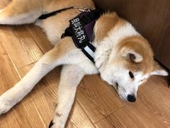 -YCHL Studios健身工作室(市二宫店)