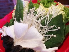 -额尔敦传统涮(公园西路店)