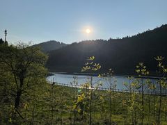 -武陵山森林公园