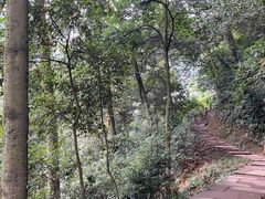 -青城山