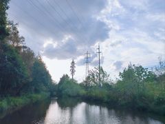 -上海长兴岛郊野公园