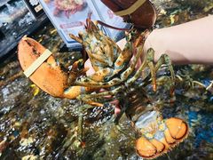-盒马鲜生(皇庭广场店)