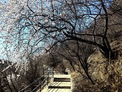 -香山公园
