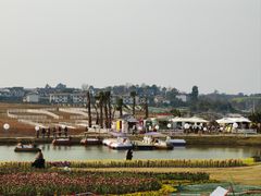 -空港花田景区