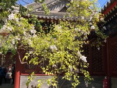 -山东傻大粗粮煎饼(牛街店)