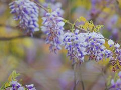 -江南大学(蠡湖校区)