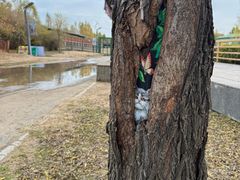 -鄂尔多斯野生动物园