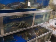 -宾朋海鲜特色美食餐厅·纯手工鲅鱼水饺(兴海路店)