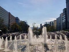 -大通公园