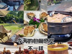 -梧桐庄园