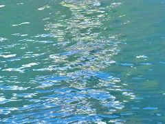 -东坝千亩湖公园