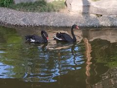 -西安曲江寒窑遗址公园