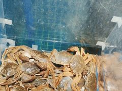 -曼格活海鲜·牛排自助(光明蓝鲸店)