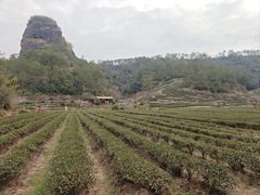 -武夷山风景名胜区-虎啸岩