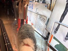 -Gucci(北京SKP店)