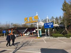 -诸城服务区-停车场