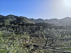 -妙峰山风景名胜区