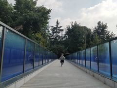 -成飞公园