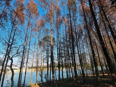 -梁鸿国家湿地公园