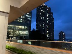 -香港大学