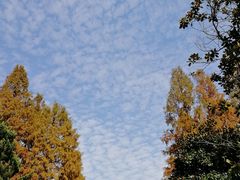 -浙江大学(玉泉校区)