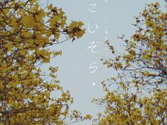 -露天矿生态公园