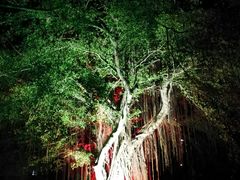 -广州市干部健康管理中心