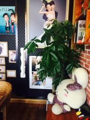 -蔚蓝映像STUDIO婚纱摄影(南稍门店)