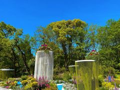 -上海共青森林公园