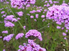 -杭州城北体育公园