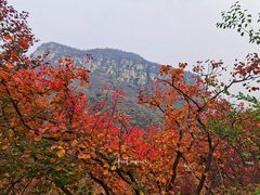 -周口店坡峰岭风景区