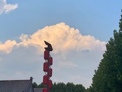 -兰陵国家农业公园