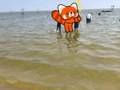 -碧海金沙