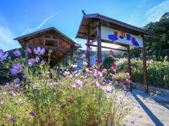 -沂蒙山旅游区云蒙景区(蒙山国家森林公园)