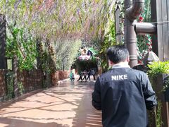 -郑州方特梦幻王国