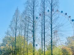 -上海野生动物园