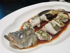 桂鱼（1.2斤）-润泽天·湘味家宴(岳麓山店)