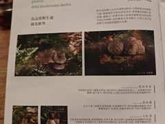 -蘑界·野生菌火锅(深业上城店)