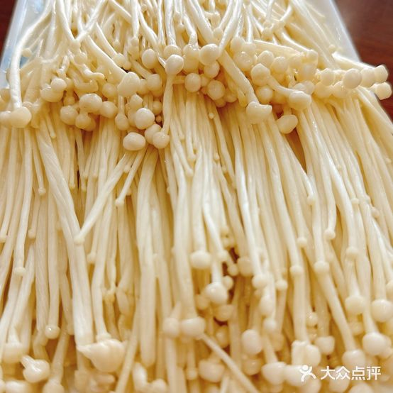 紫园碳火锅五部