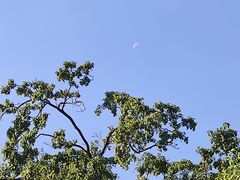 -香山公园