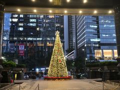 -怡聚轩全日制自助餐厅(大中华喜来登酒店)