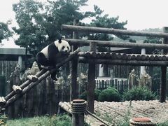 -大连森林动物园