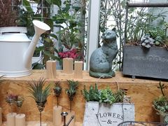 -拾壹cafe·工作室