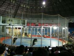 -西安秦岭野生动物园