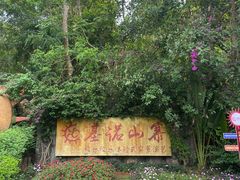 -西双版纳基诺山寨
