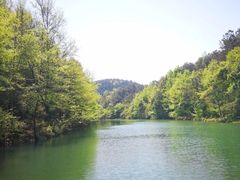 -青龙山国家森林公园