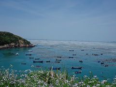 -枸杞岛