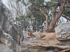 -莲花池公园