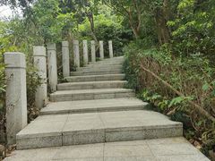 -小南山公园
