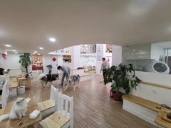 -李小姐の猫咖啡馆(五角场店)